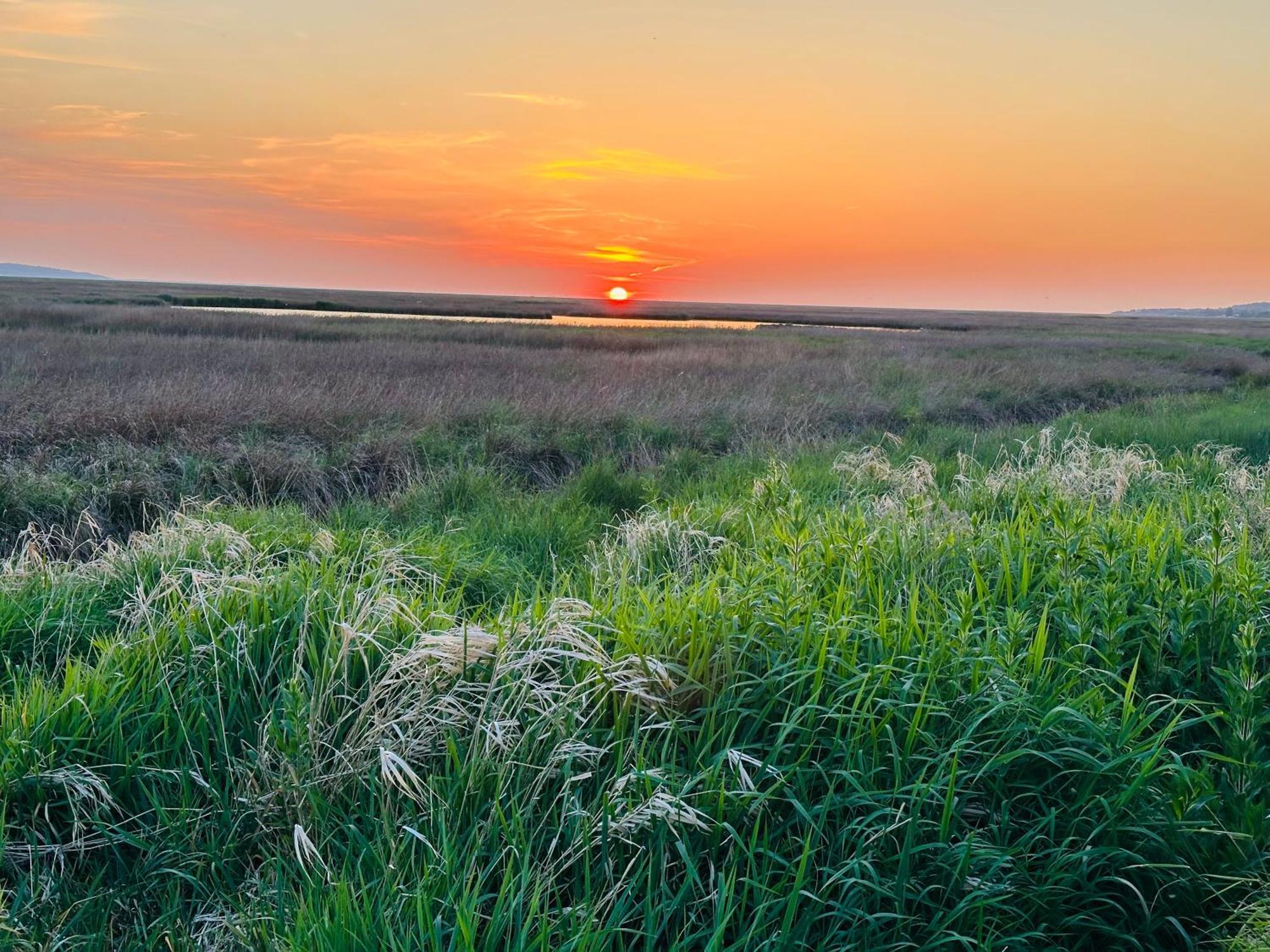 The Rambler'S Rest Cottage, Parkgate, Wirral 帕克盖特 外观 照片